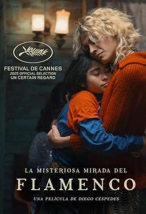 La misteriosa mirada del flamenco