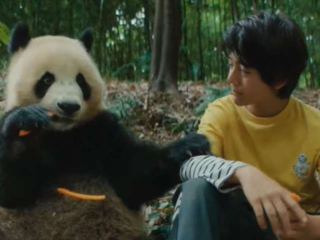 Cartel Moon, mi amigo panda