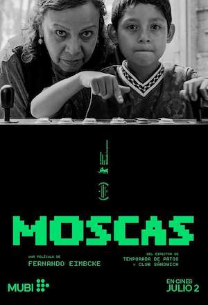 Moscas
