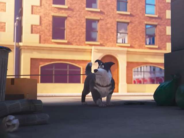 Cartel Pets on a Train