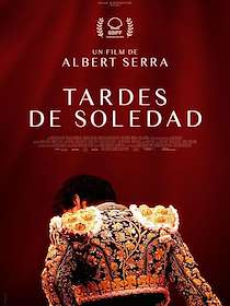 Tardes de soledad
