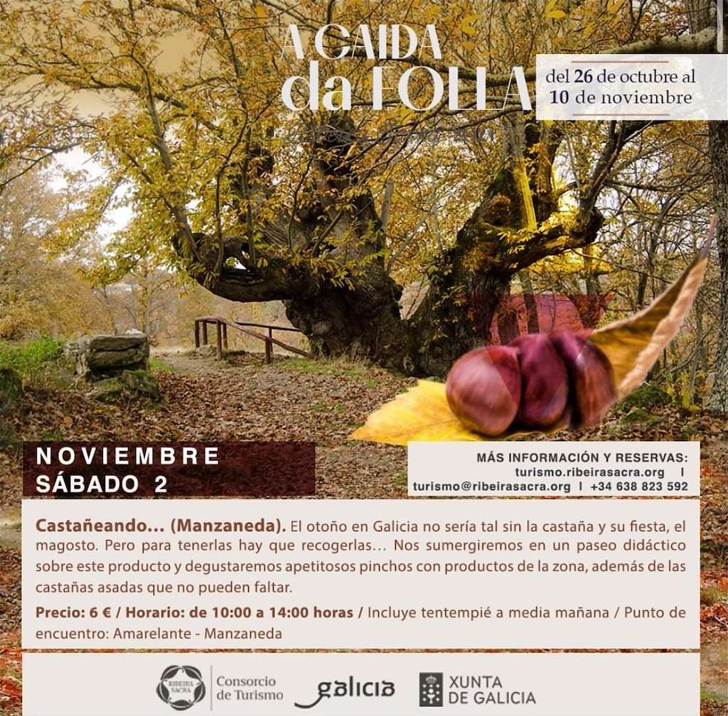 A Caída da Folla en Manzaneda
