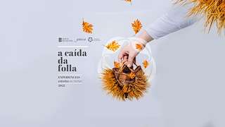 Fechas, información, programa, cartel, imágenes, mapa y ubicación de A Caída da Folla  en  Manzaneda