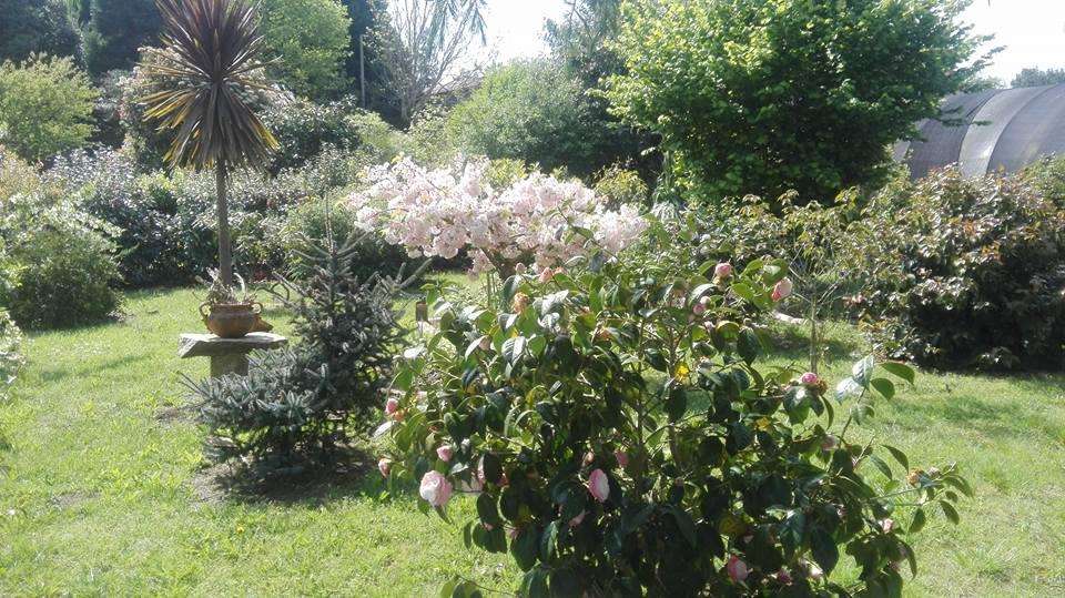 A Casa das Camelias en Boiro