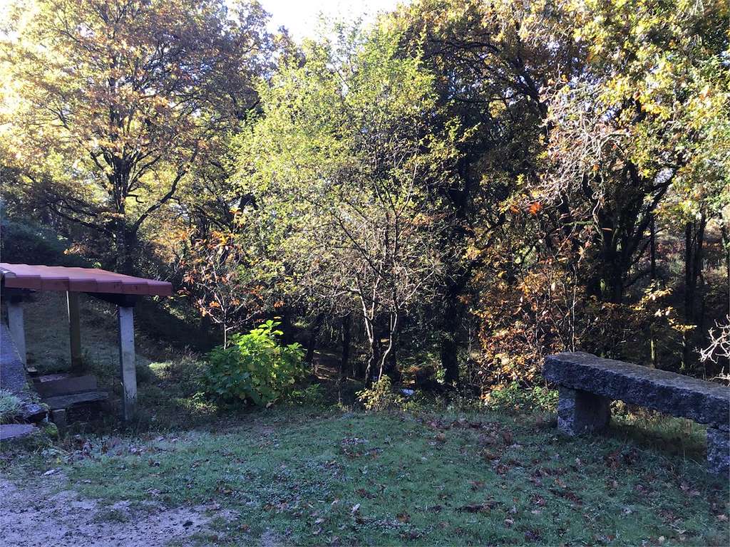 A Pereiriña en Covelo