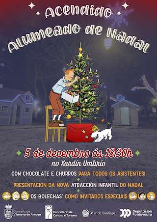 Fechas, información, programa, cartel, imágenes, mapa y ubicación de Acendido Alumeado de Nadal  en  Vilanova de Arousa