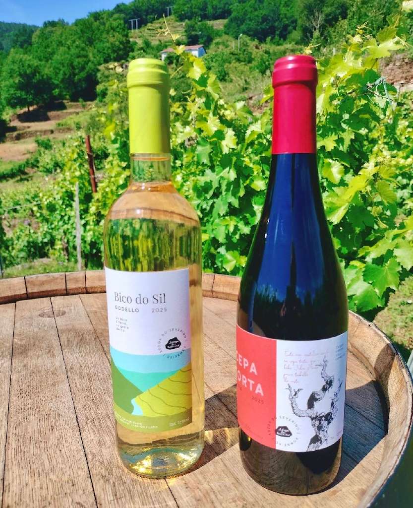 Adega do Severino en Pantón