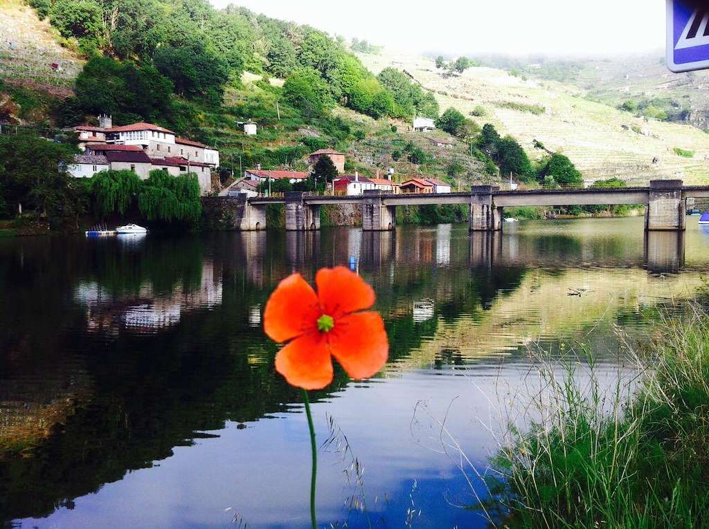Adega Pilares De Belesar en O Saviñao