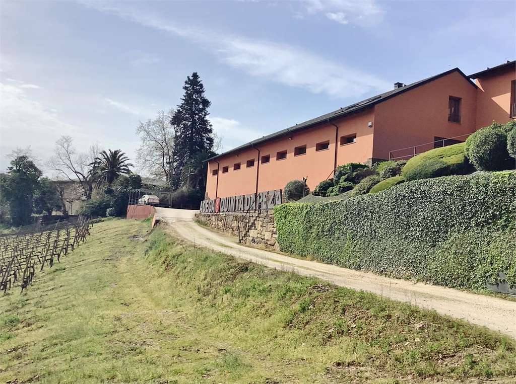 Adega Quinta da Peza en A Rúa