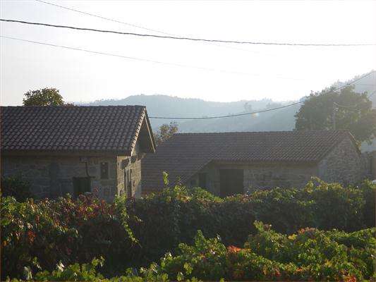 Adega Valdavia en Cenlle