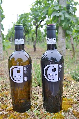 Adegas Celme