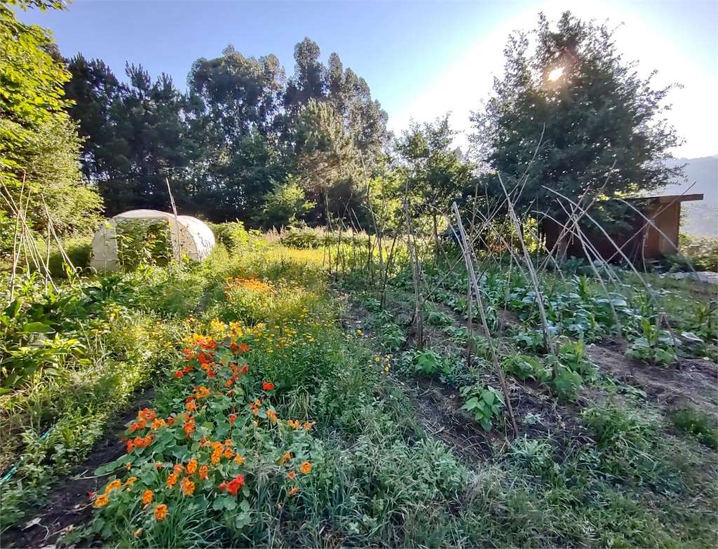 Agro Cultura Espaço Vivo S. Coop. Galega en Redondela