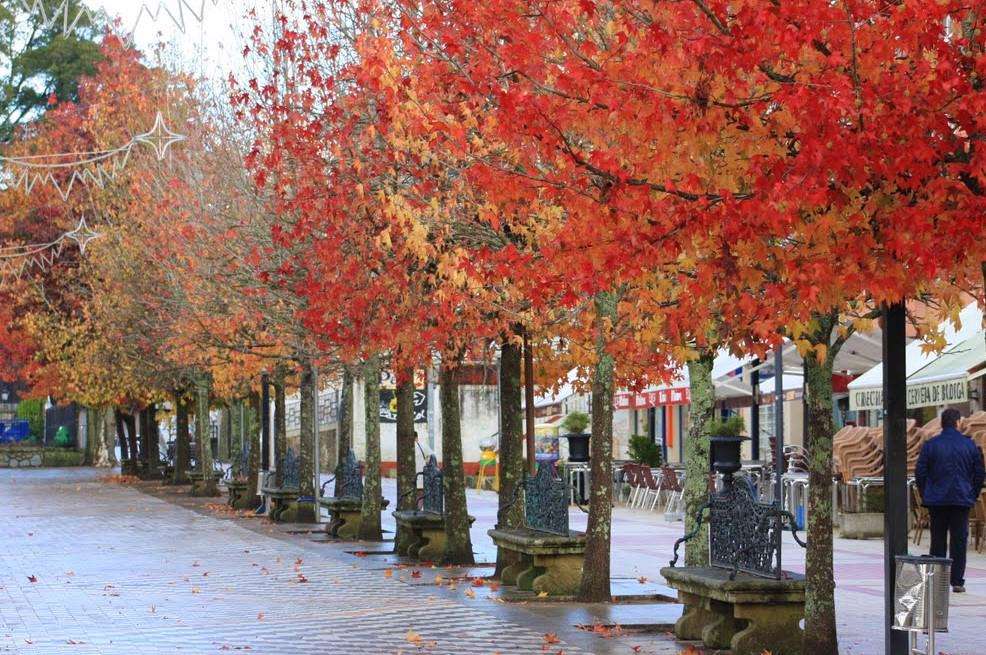 Alameda y Jardines Felipe de Castro en Noia
