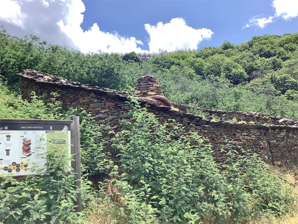 Albariza de Buestelo de Fisteus en Quiroga