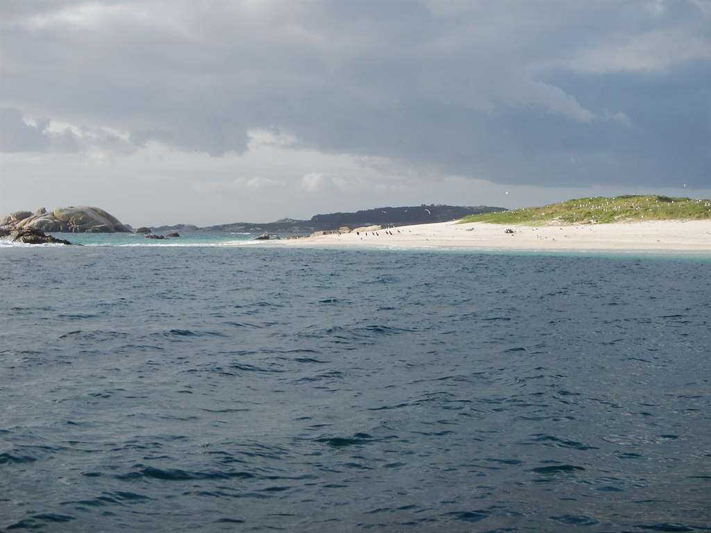 Amare Turismo Náutico, S.L. en Illa de Arousa