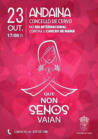 Andaina Contra o Cancro de Mama en Cervo