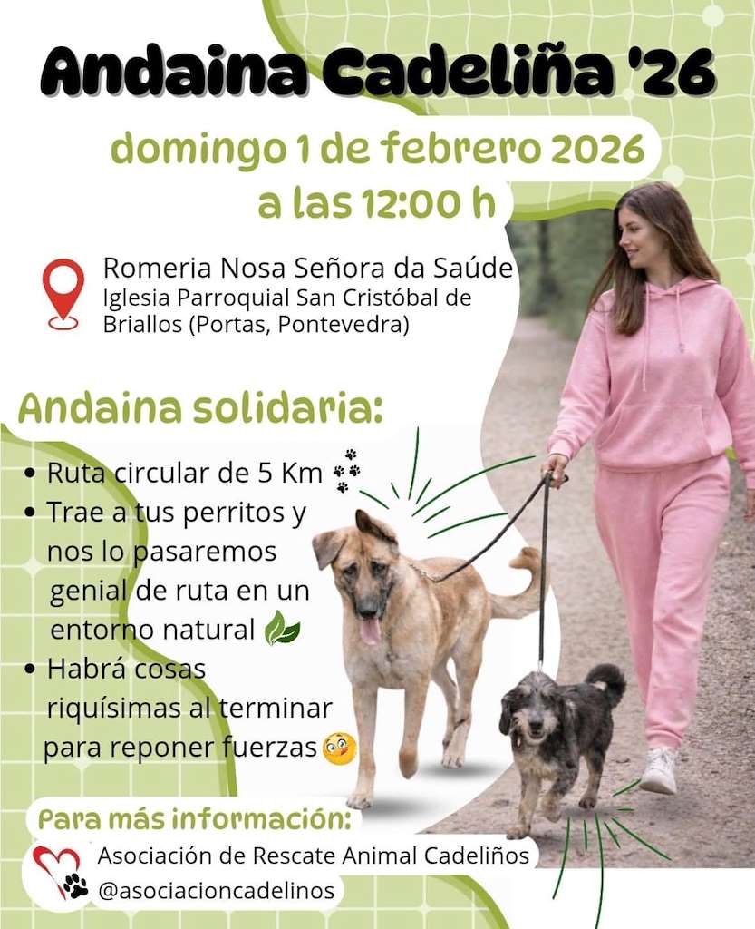 Andaina Cadeliña (2026) en Portas