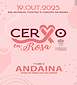FiestasRelacionadas Andaina Contra o Cancro de Mama en Cervo