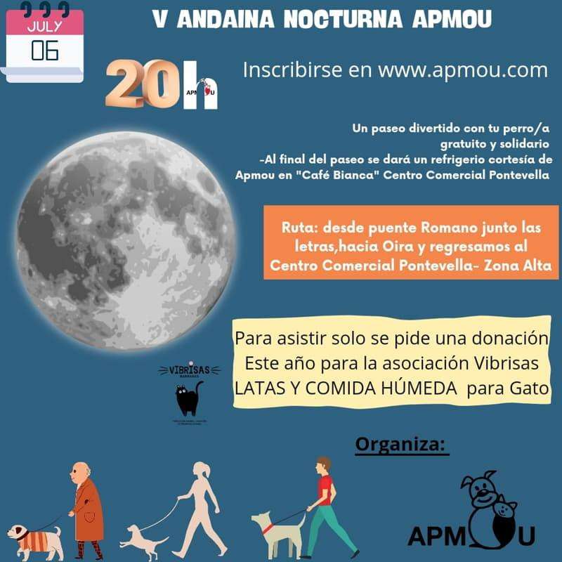 V Andaina Nocturna APMOU en Ourense