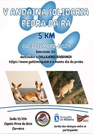 Fechas, información, programa, cartel, imágenes, mapa y ubicación de V Andaina Solidaria Pedra da Rá de Carreira   en  Ribeira