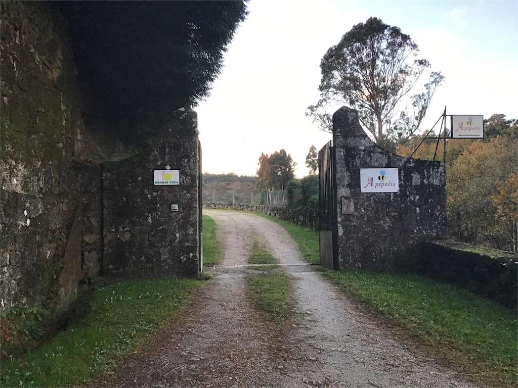 Apípolis en Pontevedra