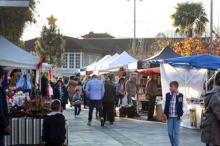 ArboNadal - Mercadillo Solidario (2025)