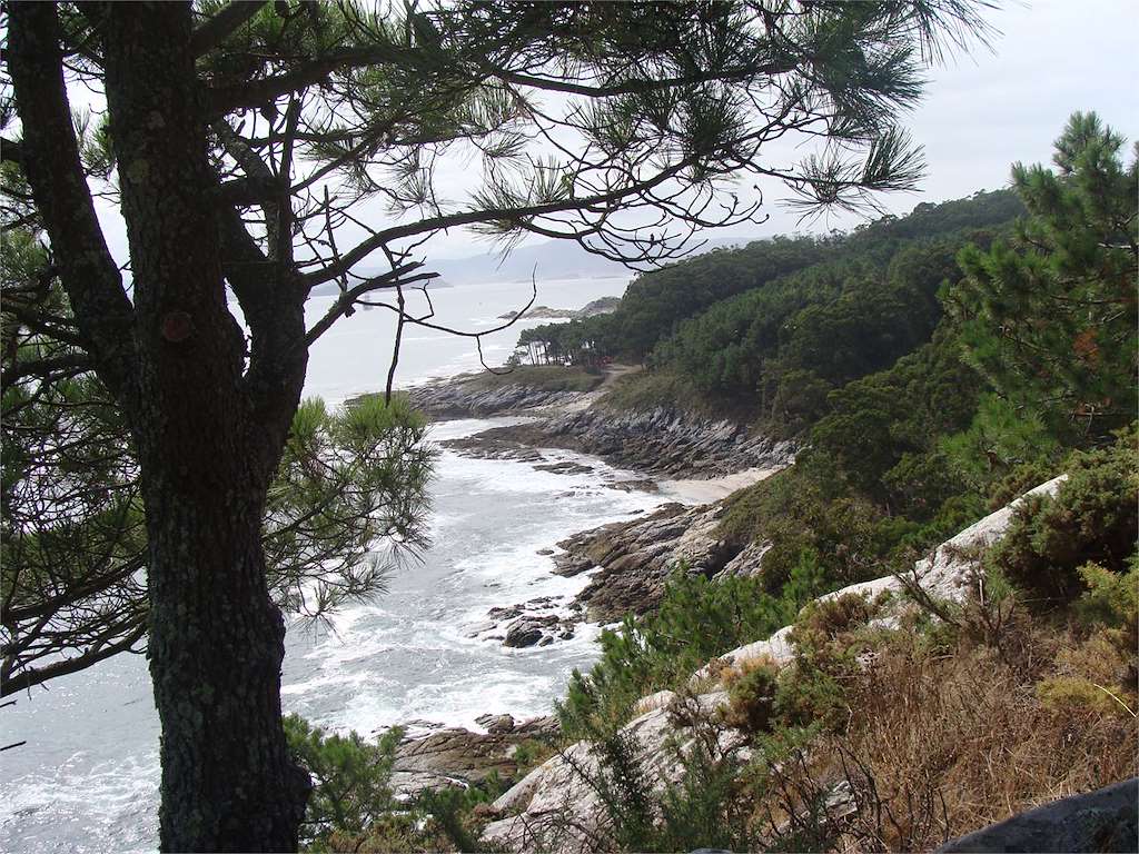 Area da Cantareira en Vigo