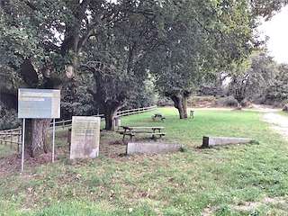 Fechas, información, programa, cartel, imágenes, mapa y ubicación de Área de Descanso de Ferreiros   en  Paradela