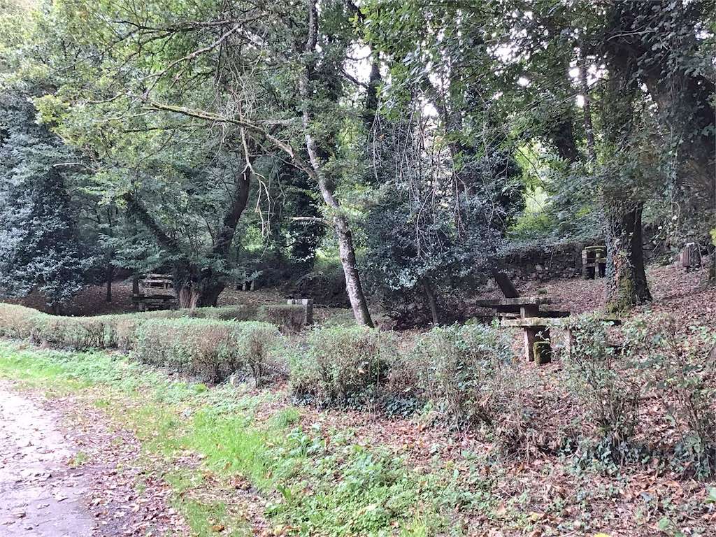 Área de Descanso Paradela