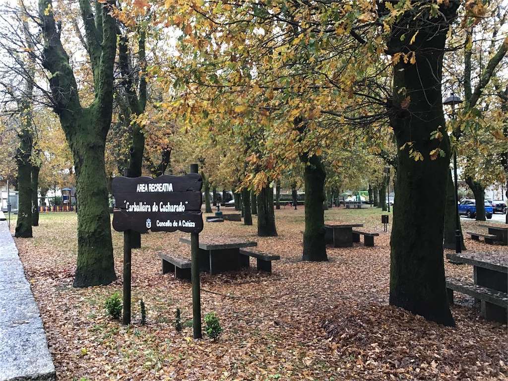 Área de Recreo Carballeira de Cacharado en A Cañiza