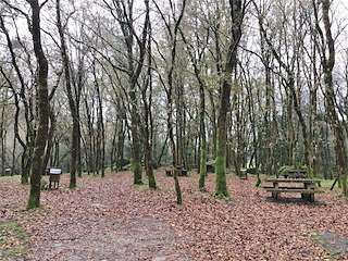 Área de Recreo de Fiopáns