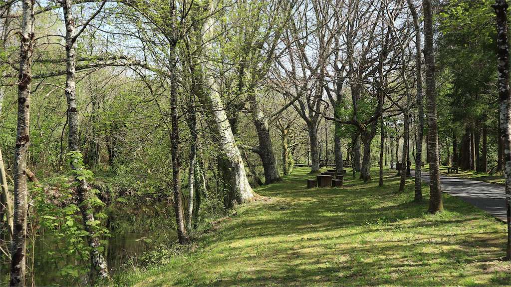 Área Recreativa A Madalena en Vilalba