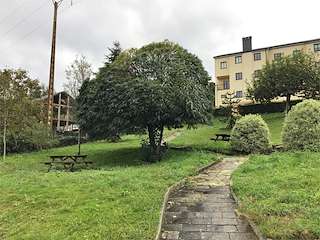 Fechas, información, programa, cartel, imágenes, mapa y ubicación de Área Recreativa As Lobeiras  en  Cervo