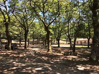 Fechas, información, programa, cartel, imágenes, mapa y ubicación de Área Recreativa Carballeira de Famelga  en  Cerdedo-Cotobade