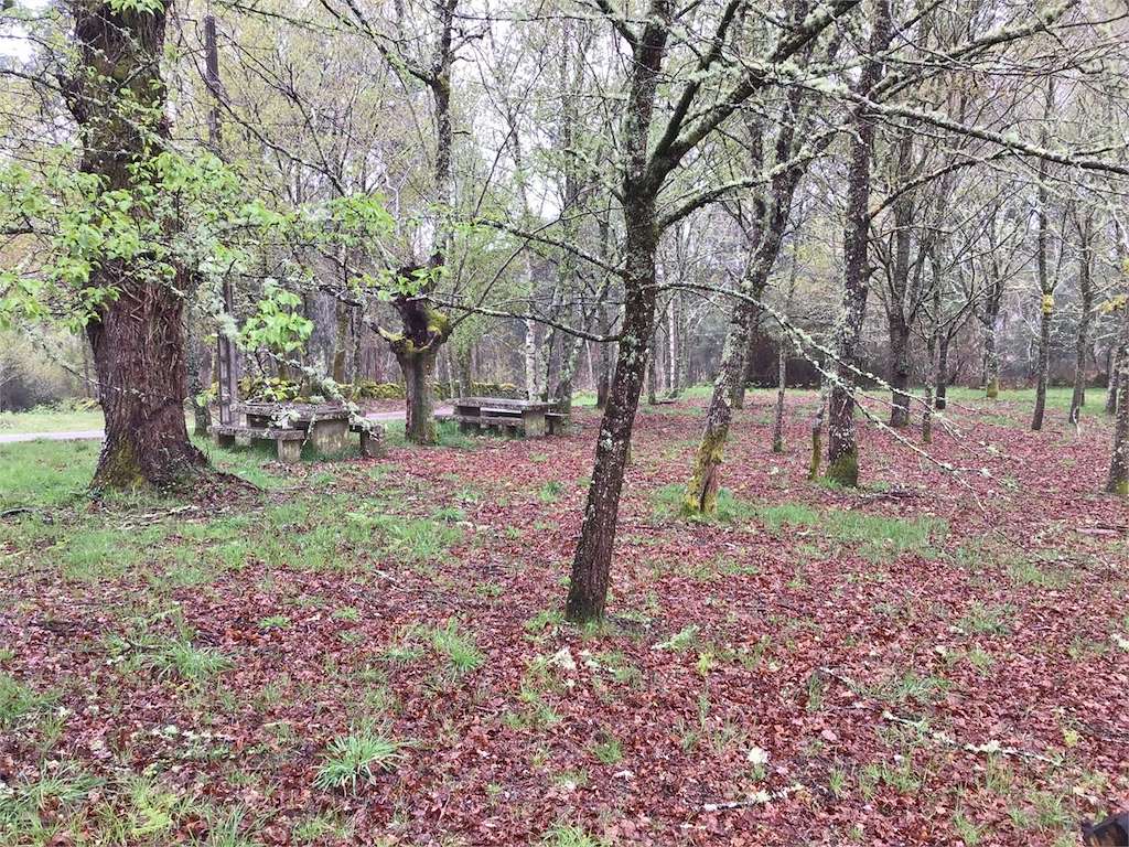 Área Recreativa Da Comunidade de Montes de Fornelos