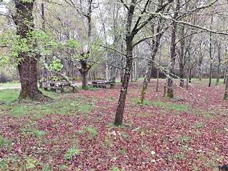 Área Recreativa Da Comunidade de Montes de Fornelos