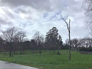 Área Recreativa de A Picota