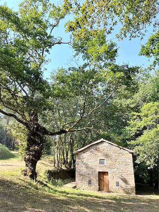 Fechas, información, programa, cartel, imágenes, mapa y ubicación de Área Recreativa de Brandelos  en  Touro
