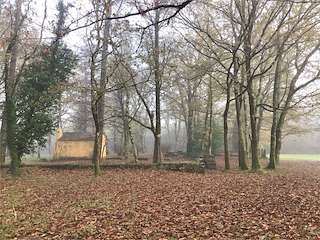 Fechas, información, programa, cartel, imágenes, mapa y ubicación de Área Recreativa de Cobas  en  Negreira