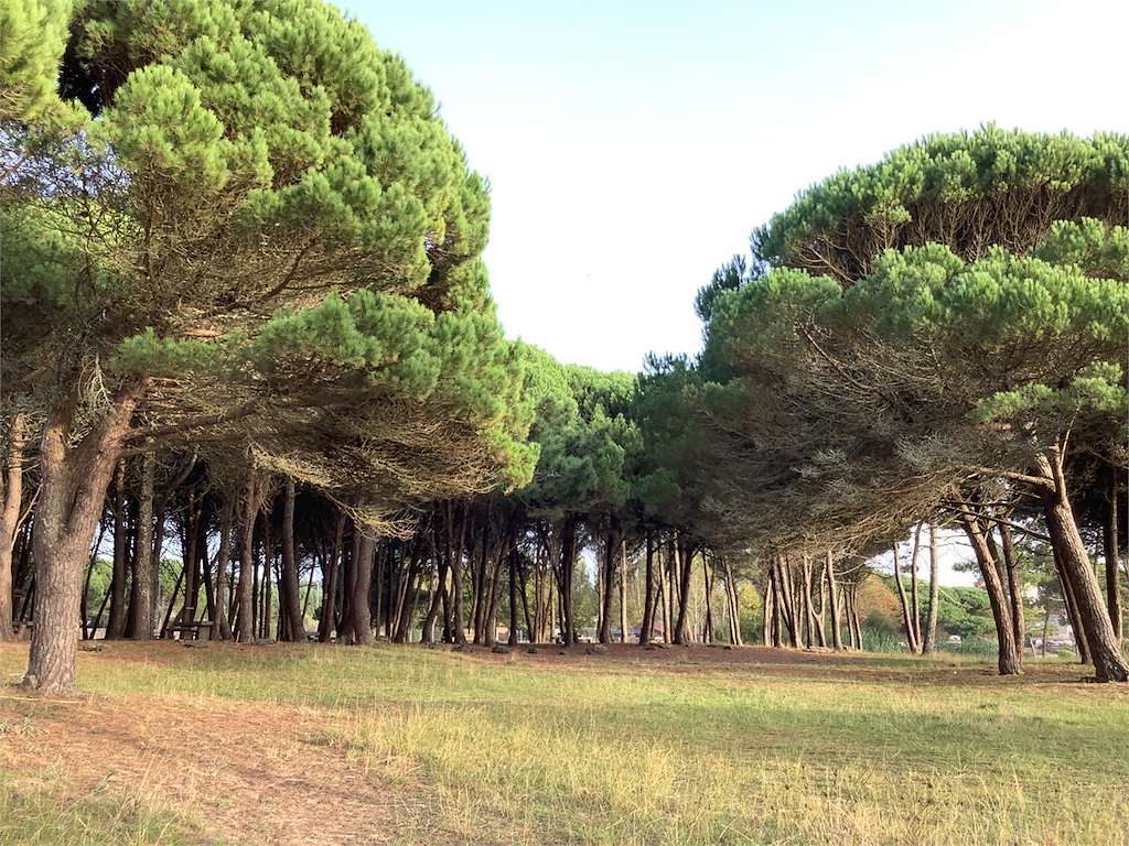 Área Recreativa de Montalvo en Sanxenxo