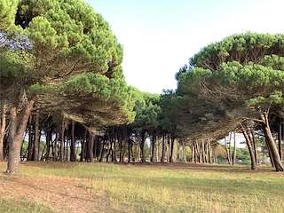 Área Recreativa de Montalvo