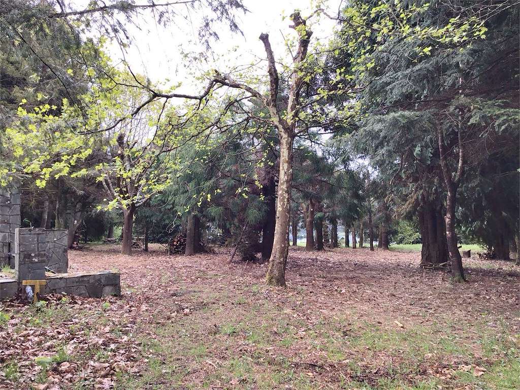 Área Recreativa de O Acebreiro en Pastoriza