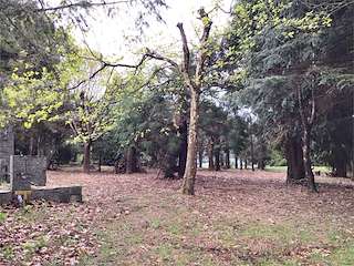 Área Recreativa de O Acebreiro