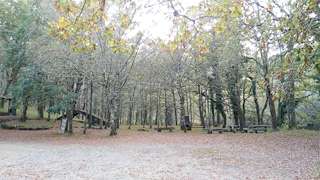 Fechas, información, programa, cartel, imágenes, mapa y ubicación de Área Recreativa de O Caneiro  en  As Pontes de García Rodríguez