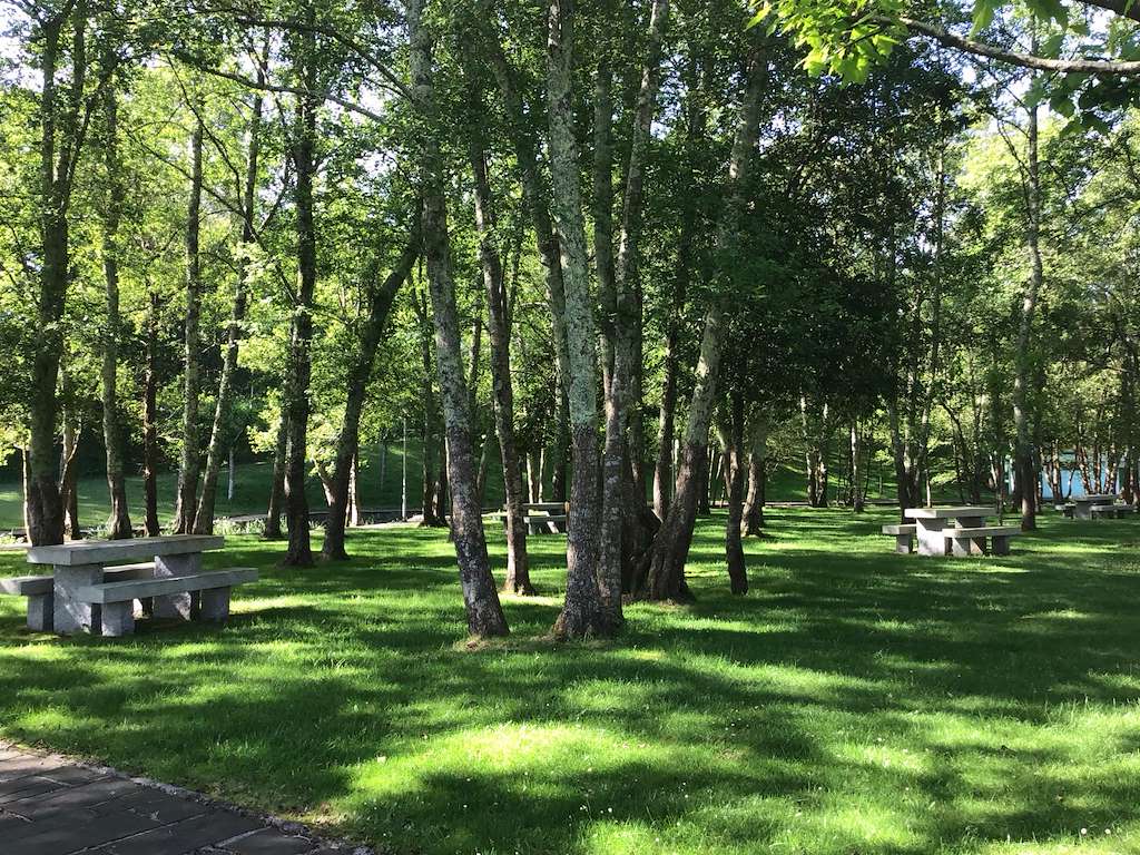 Área Recreativa de O Carballo  en As Somozas
