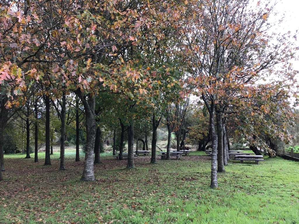 Área Recreativa de San Miguel en O Rosal