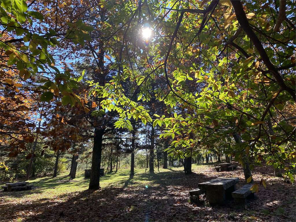 Área Recreativa Fontefría en Vilagarcía de Arousa