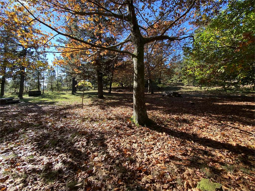 Área Recreativa Fontefría en Vilagarcía de Arousa