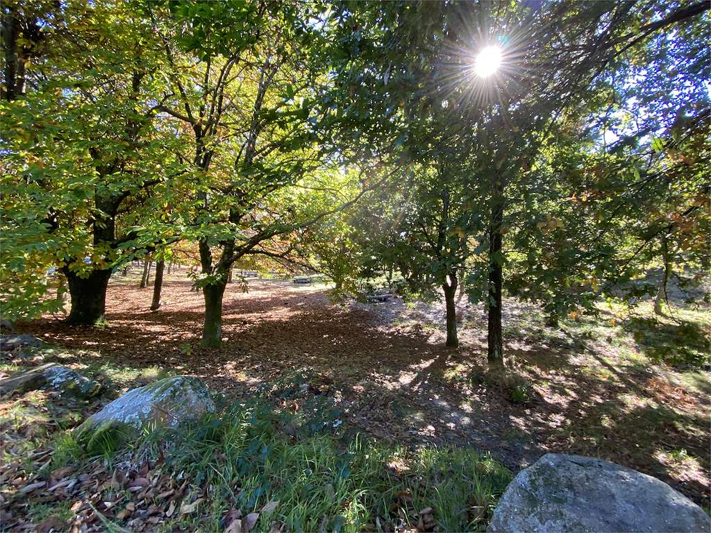 Área Recreativa Fontefría en Vilagarcía de Arousa