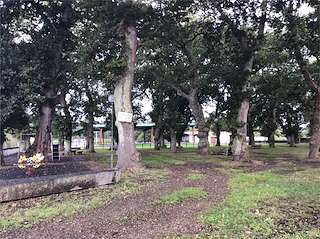 Fechas, información, programa, cartel, imágenes, mapa y ubicación de Área Recreativa Fraga do Rei  en  Oza Cesuras